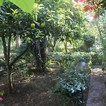 Giardino 3* 비에스테