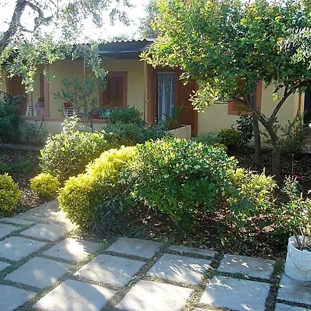 Giardino